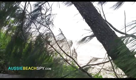 Perkelahian kucing video semi bokep barat